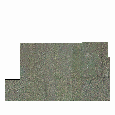 Export Image