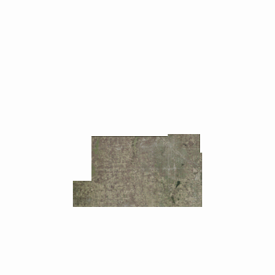 Export Image