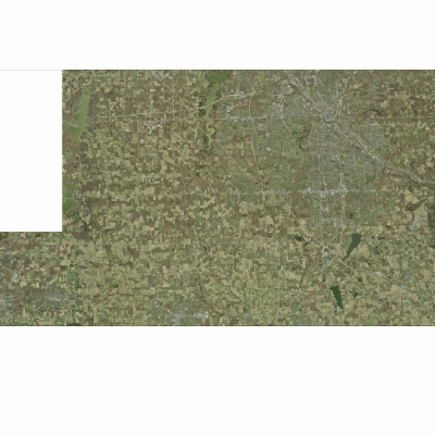 Export Image