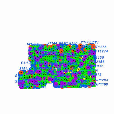Export Image